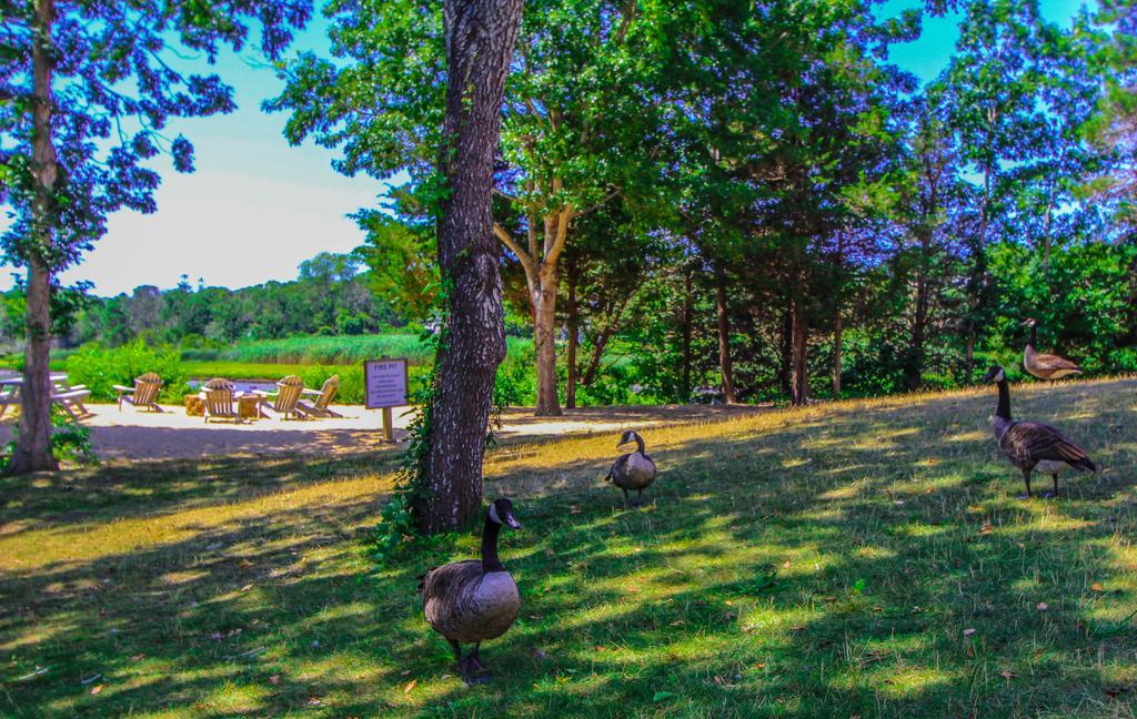 The Cove At Yarmouth Hotel Уест Ярмут Екстериор снимка